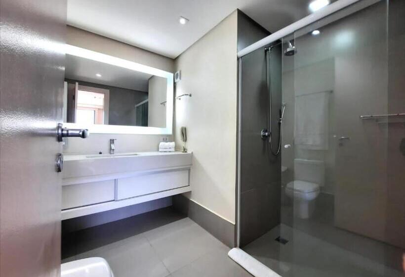 Apartamento Ático 1 Quarto, Luxuoso Studio Particular Reformado No Grand Mercure