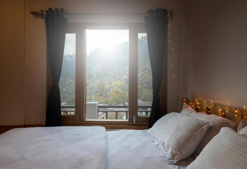 اتاق لوکس, Robinhood Travel Hostel