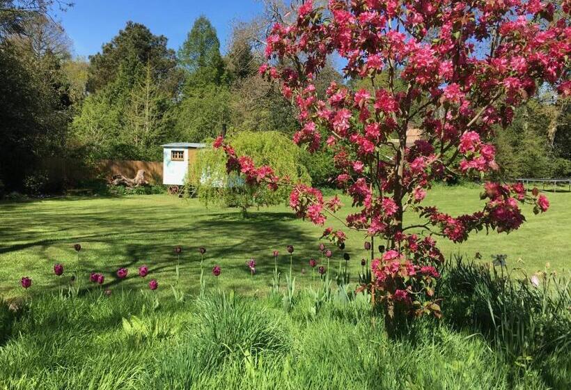 Номер Стандарт Вид на Сад, Fernwood