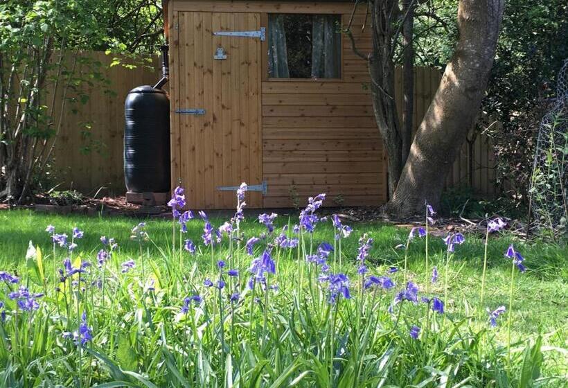 Номер Стандарт Вид на Сад, Fernwood