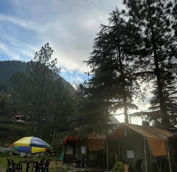 چادر با خدمات رفاهی استاندارد, Asher Woods