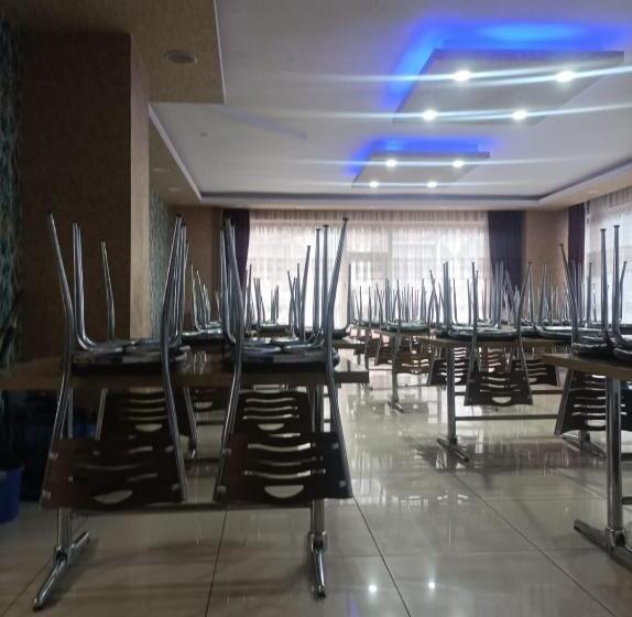 Семейный Полулюкс, Yeni Van Otel