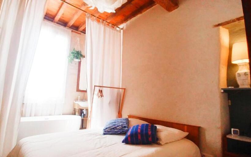 ویلای سوپریور 1 خوابه, At Home In Arles