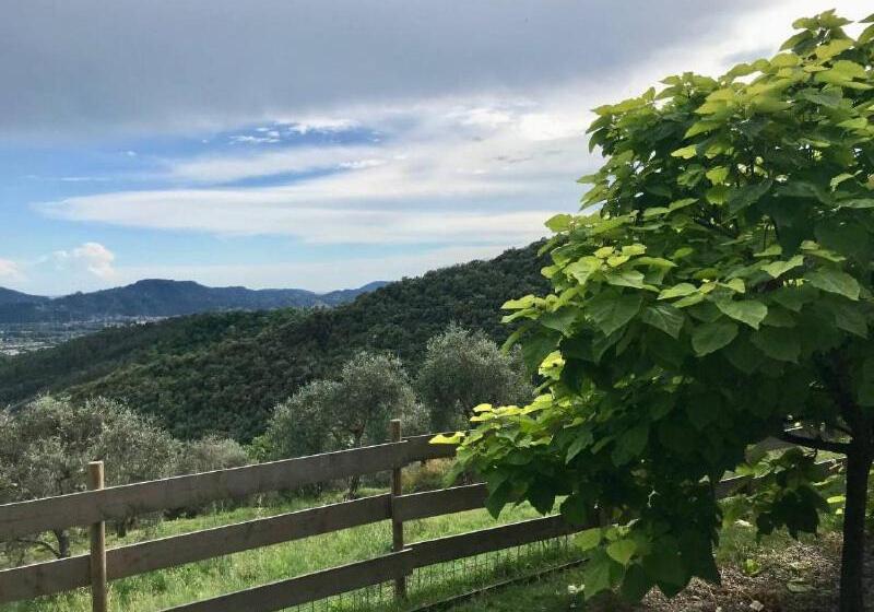 Номер Стандарт, Affittacamere St Roch   Colazione, Bagno Annesso E Giardino   La Spezia