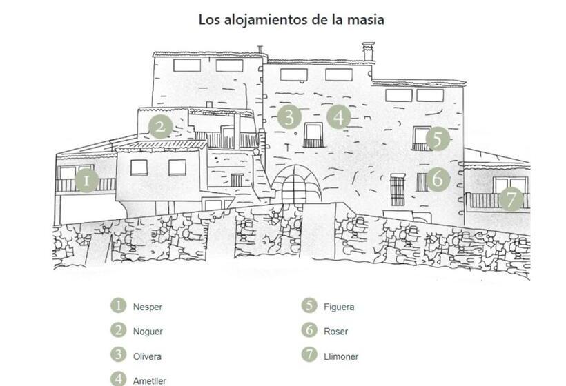 Номер Стандарт с Террасой, Masia Aubareda