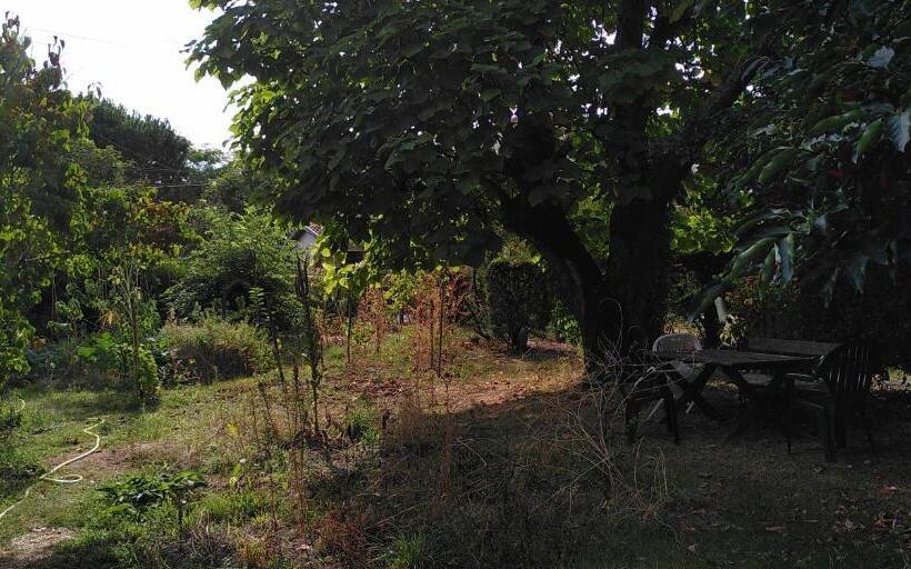 Номер Стандарт, Villa Lulu