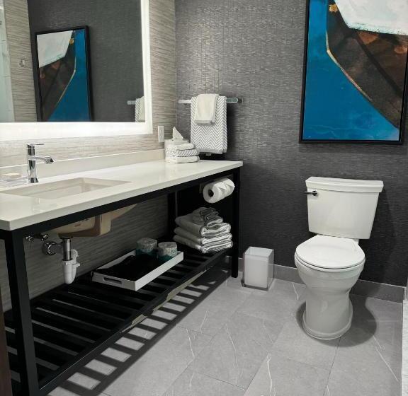 스탠다드 룸 킹사이즈 침대, Cambria Hotel Niagara Falls