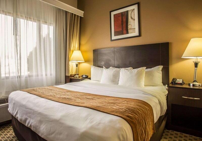 스탠다드 룸, Smile Hotel Nagano
