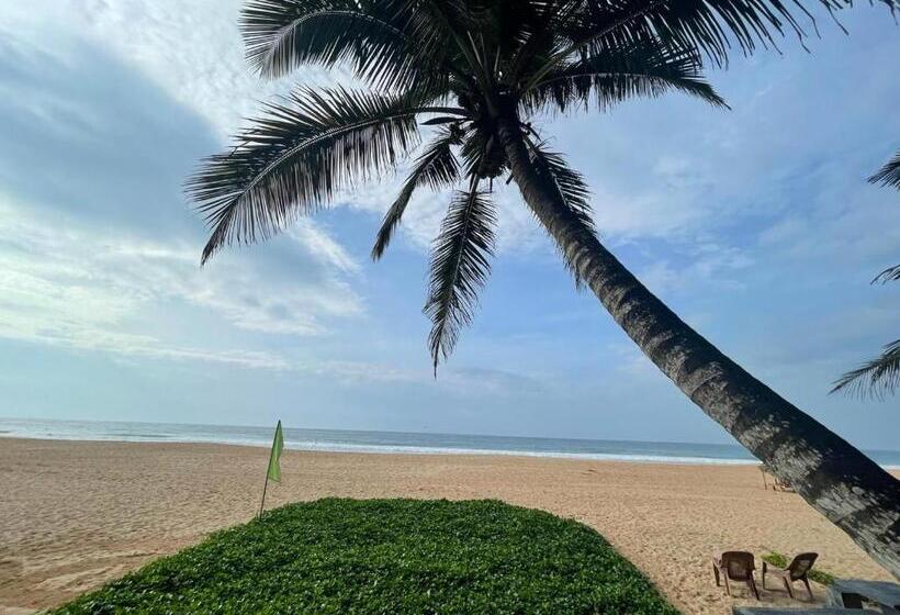 Номер Deluxe, Sea Garden Beach Resort