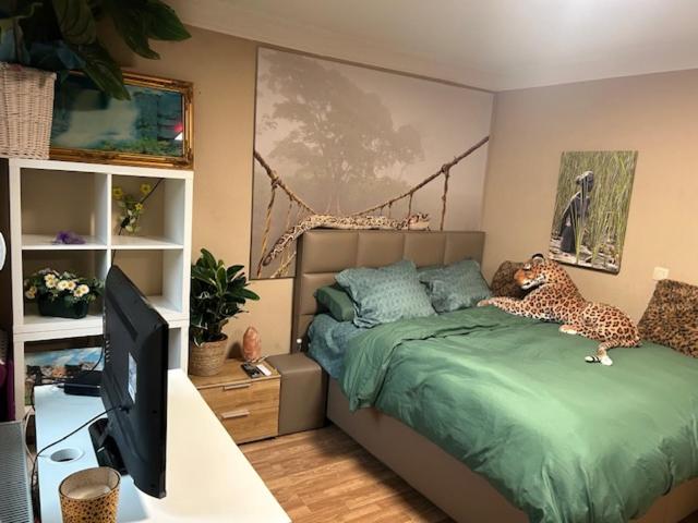 اتاق استاندارد, Jungle Magic Room Near Atomium , Heyzel Stadium