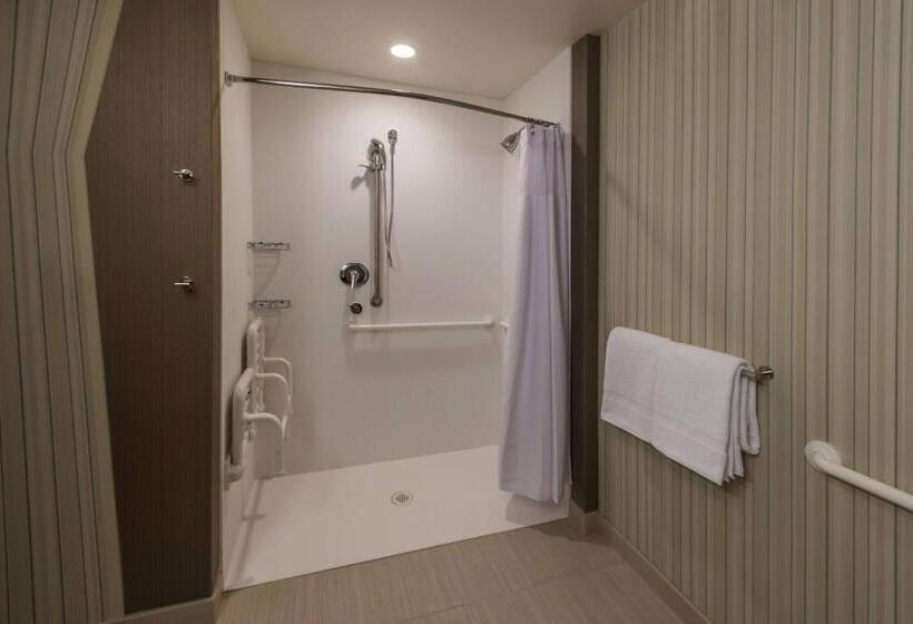 اتاق استاندارد با تخت بزرگ برای معلولان, Courtyard By Marriott Reno Downtown/riverfront