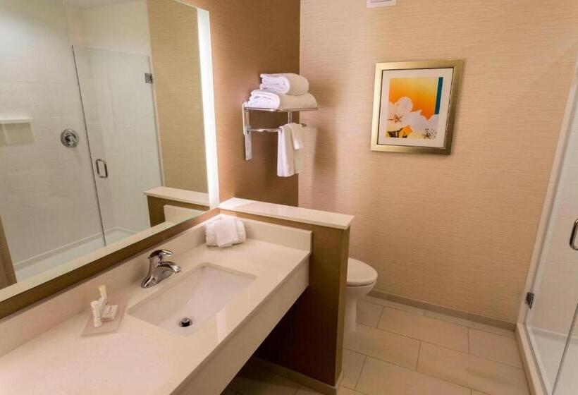 套房, Fairfield Inn & Suites By Marriott Geneva Finger Lakes