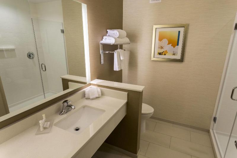 带大床的标准间, Fairfield Inn & Suites By Marriott Geneva Finger Lakes