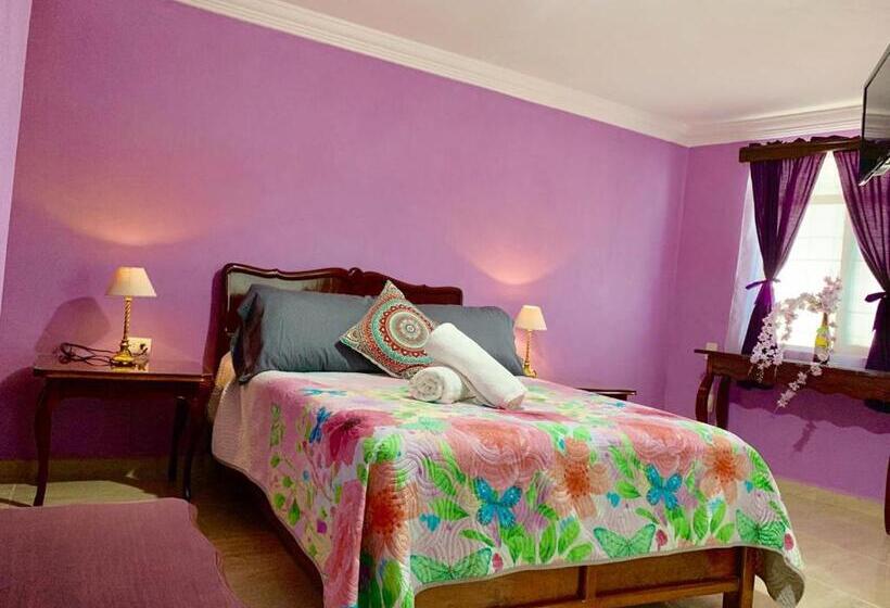 １ベッドルームアパートメント, Spa Maggic Home Panorámica