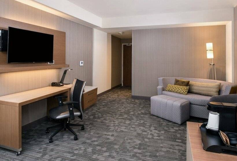 Люкс, Courtyard By Marriott Detroit Farmington