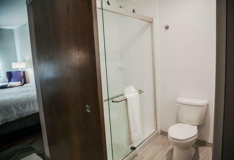 스탠다드 룸 킹사이즈 침대, Hilton Garden Inn Tampa Suncoast Parkway