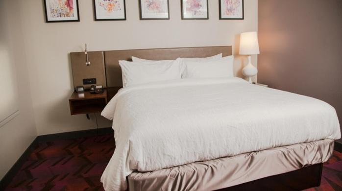 주니어 스위트 킹사이즈 침대, Hilton Garden Inn Tampa Suncoast Parkway