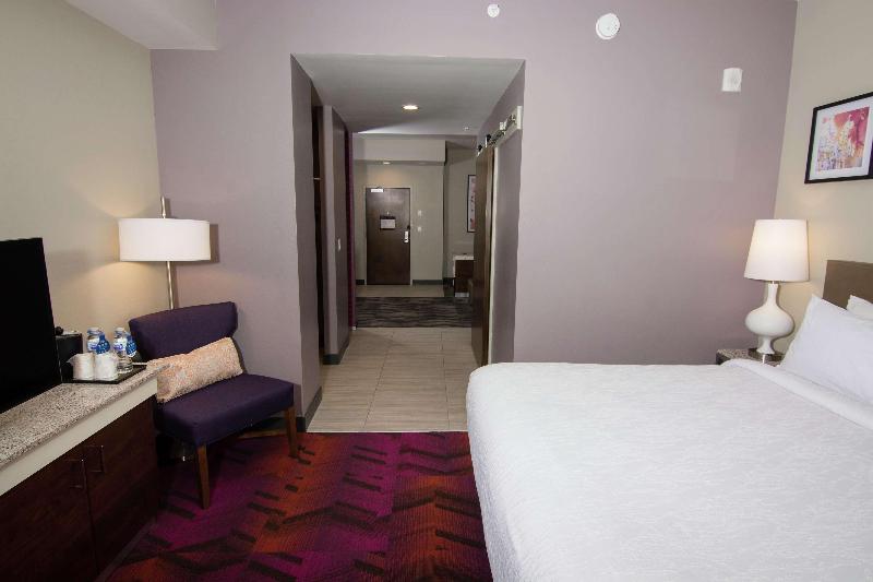 주니어 스위트 킹사이즈 침대, Hilton Garden Inn Tampa Suncoast Parkway