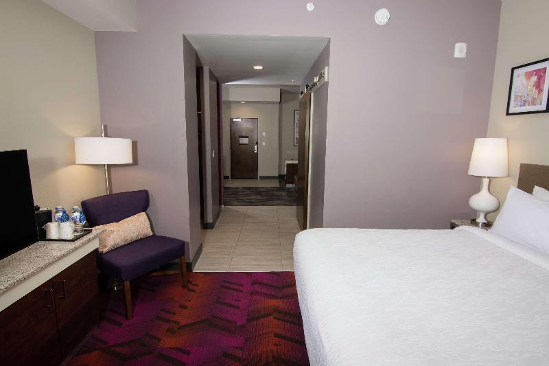 주니어 스위트 킹사이즈 침대, Hilton Garden Inn Tampa Suncoast Parkway