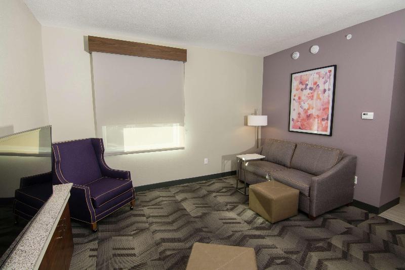 스위트 킹사이즈 침대, Hilton Garden Inn Tampa Suncoast Parkway