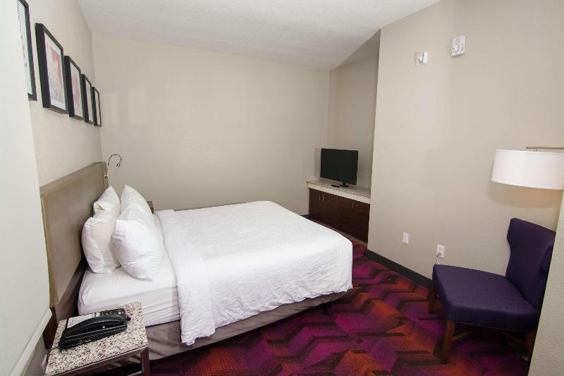 스위트 킹사이즈 침대, Hilton Garden Inn Tampa Suncoast Parkway