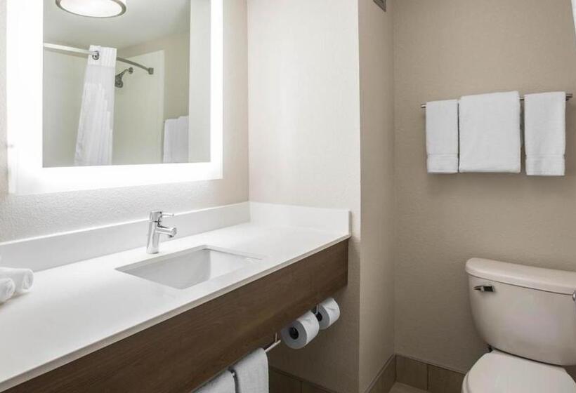 身障者適用スタンダードルーム, Holiday Inn Express & Suites   Jacksonville W   I295 And I10, An Ihg