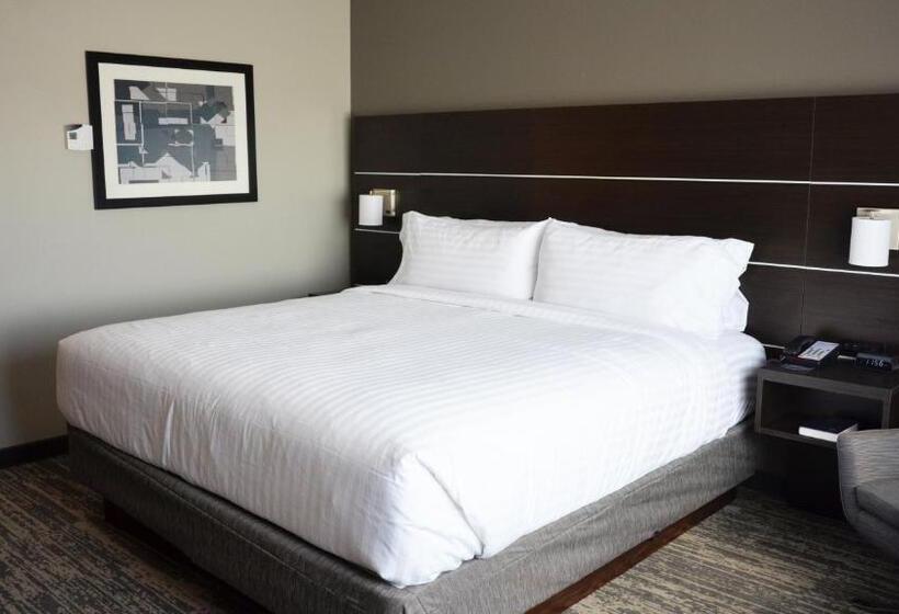 غرفة قياسية سرير كينج, Holiday Inn Express & Suites   Jacksonville W   I295 And I10, An Ihg