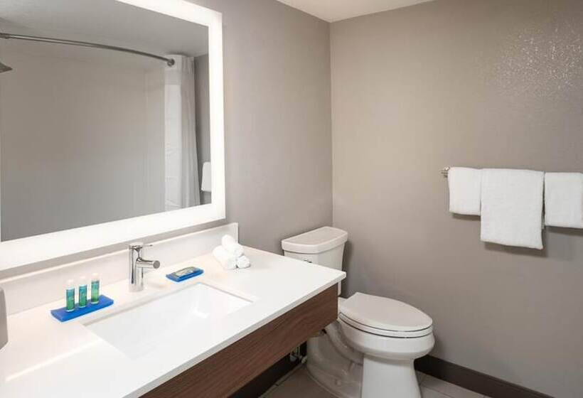 جناح لذوى الاحتياجات الخاصة, Holiday Inn Express & Suites   Jacksonville W   I295 And I10, An Ihg