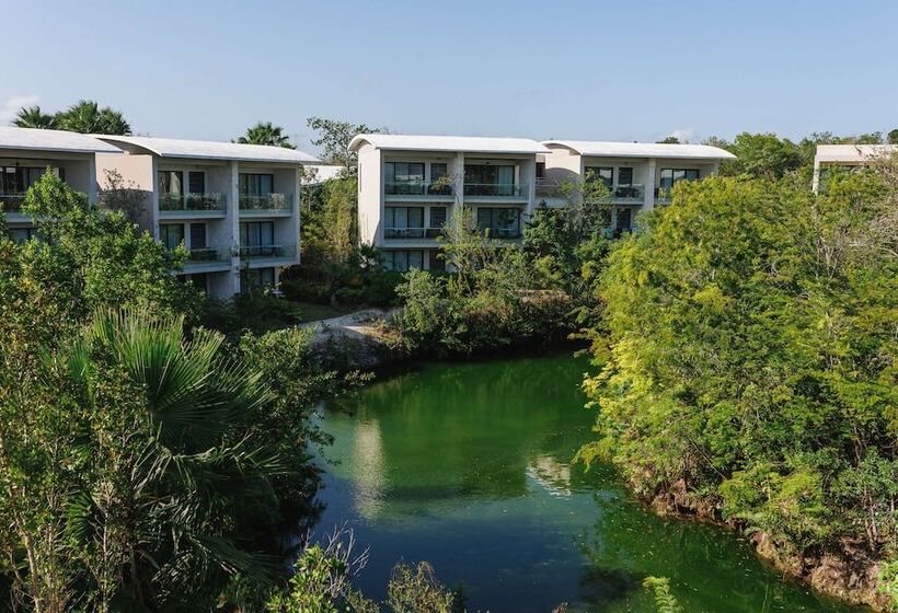 ダブルベッドスタンダードルーム, Andaz Mayakoba Resort Riviera Maya, By Hyatt