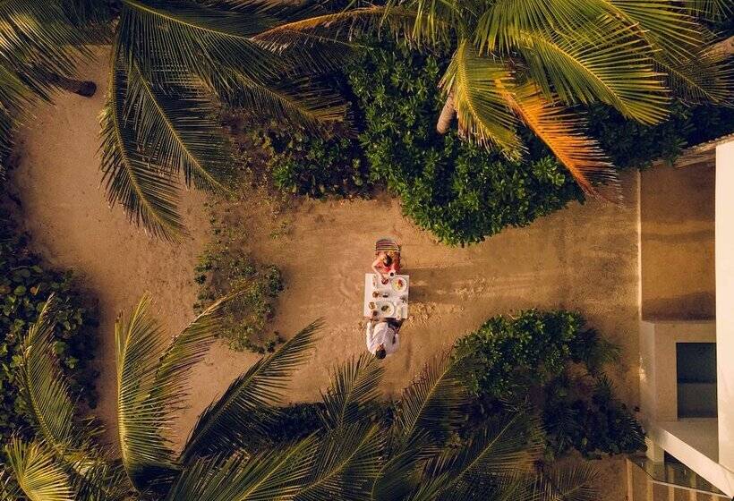 ２ダブルベッドのスタンダードルーム, Andaz Mayakoba Resort Riviera Maya, By Hyatt