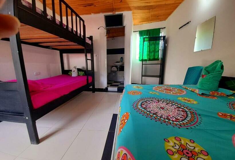 اتاق استاندارد چهار تخته, Minca Express Relax   Base Camp