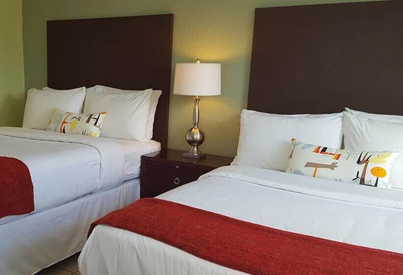 スタンダードルーム, The Cabanas Guesthouse & Spa   Gay Resort Catering To Gay Men