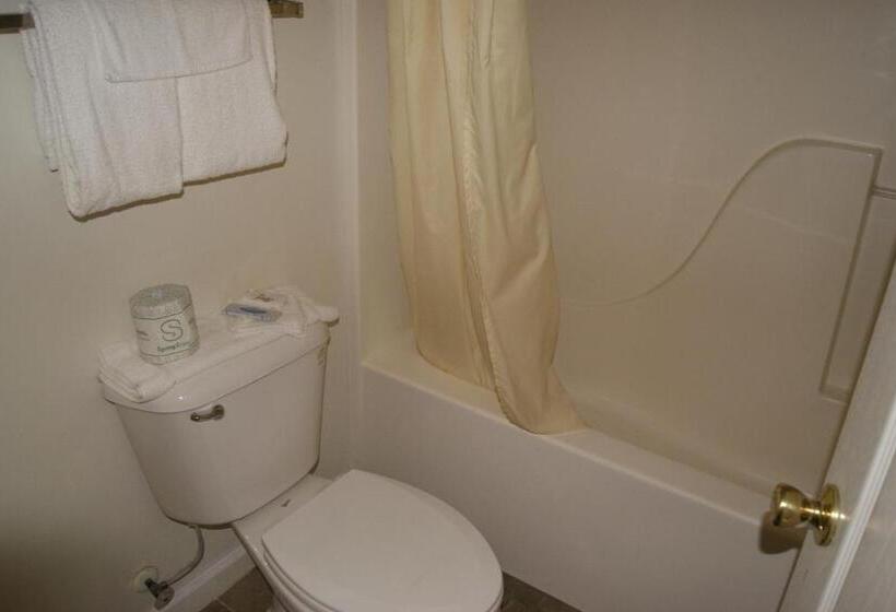 Номер Стандарт 2 Двуспальные Кровати, American Inn And Suites