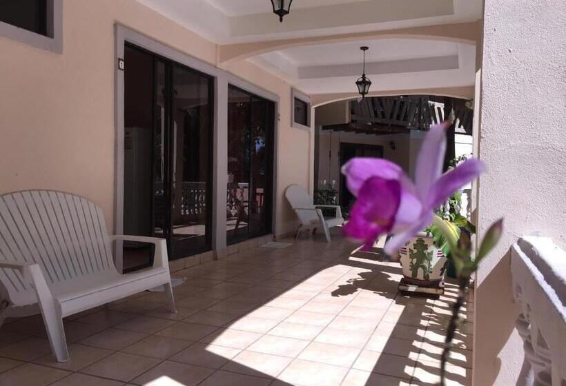 Полулюкс Вид на Море, Beachfront Vista Hermosa