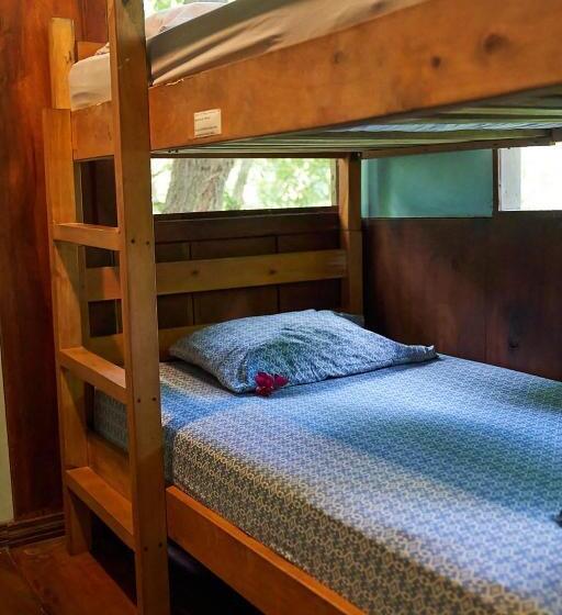 Кровать в Общей Комнате, Luz En El Cielo Eco B&b/hostel