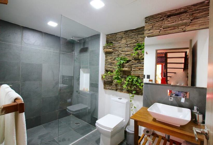 스탠다드 룸, Boutique Casa Carolina