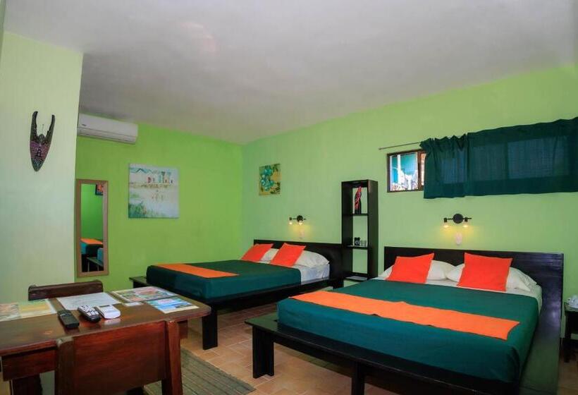 Номер Стандарт, Boutique La Casa De Las Flores