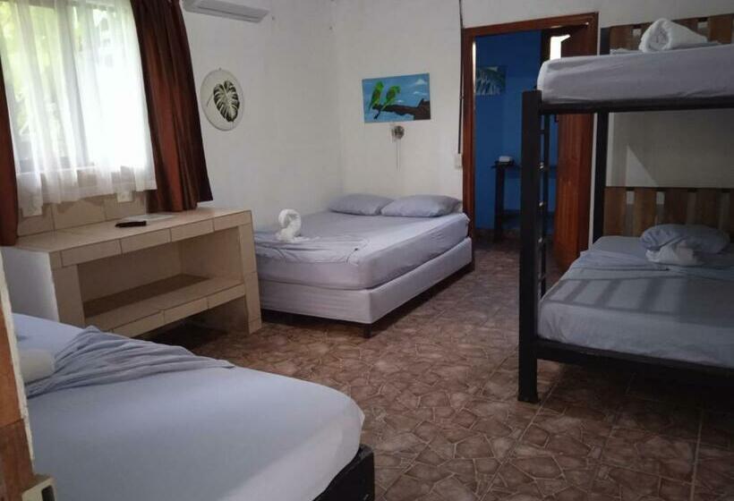 四人标准间, La Casona De Tortuguero