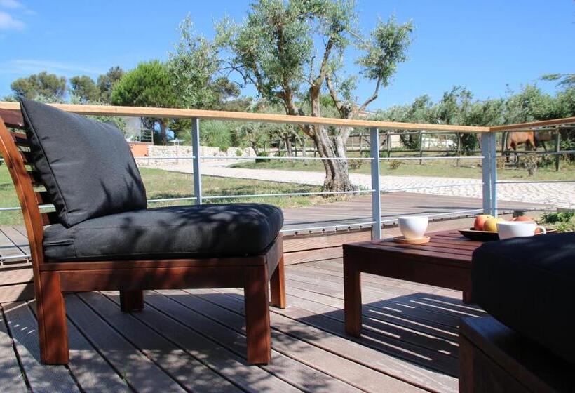 Номер Стандарт с Террасой, Quinta Tagus