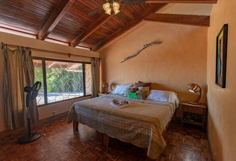 标准间, Villa Mango B&b