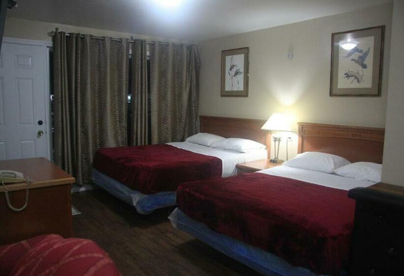 带2个双人床的标准工作室, American Plaza Motel