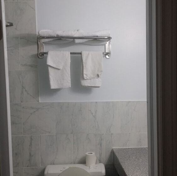 带2个双人床的标准工作室, American Plaza Motel