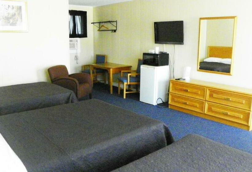 Номер Стандарт 2 Двуспальные Кровати, Guest Inn Motel