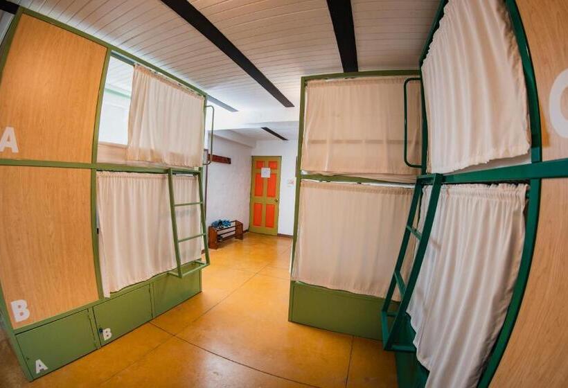 Habitación Familiar, Viajero Salento Hostel