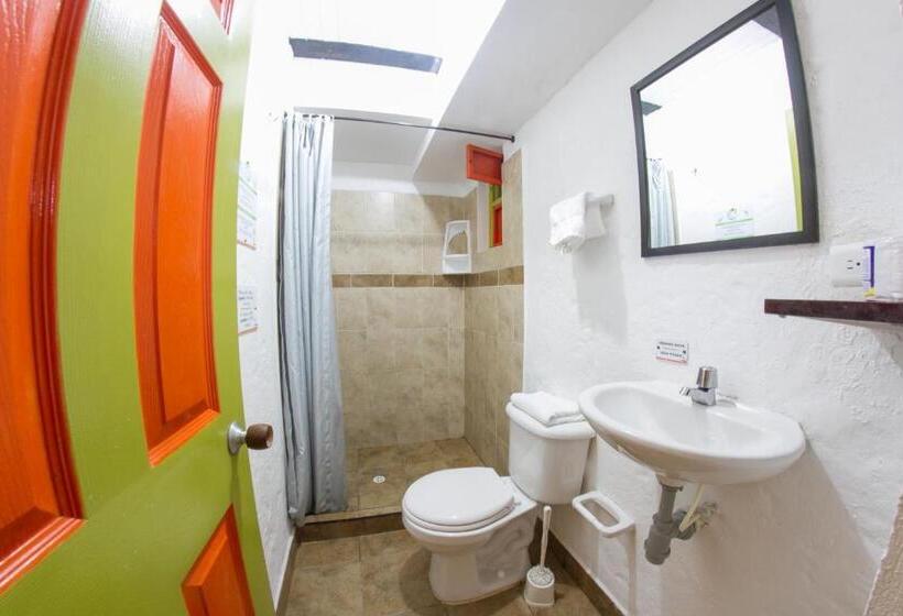 Habitación Premium Individual, Viajero Salento Hostel