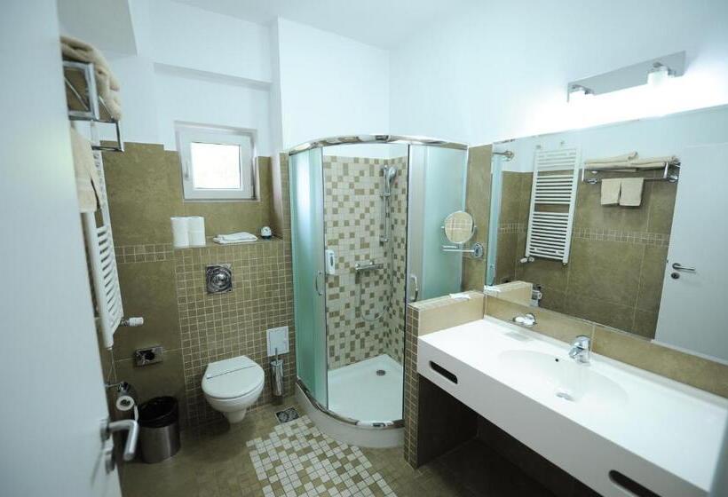 스탠다드 룸, Bruxelles Guesthouse Craiova