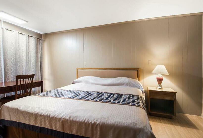 Стандартный Номер Кровать Кинг, Knights Inn Amsterdam