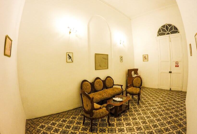 스탠다드 룸, Casa Morey