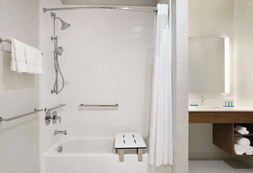 Номер Стандарт Кровать Кинг Адаптированный для Инвалидов, Holiday Inn Express & Suites   Mcallen   Medical Center Area, An Ihg