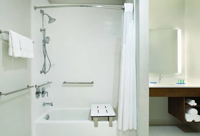 Люкс Адаптированный для Инвалидов, Holiday Inn Express & Suites   Mcallen   Medical Center Area, An Ihg